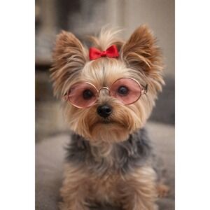 Small Round Academia Rose Colored Pet Glasses For Toy Dog Breeds And Cats
